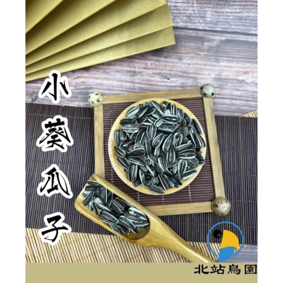 北站鳥園-小葵瓜子 / 分裝飼料