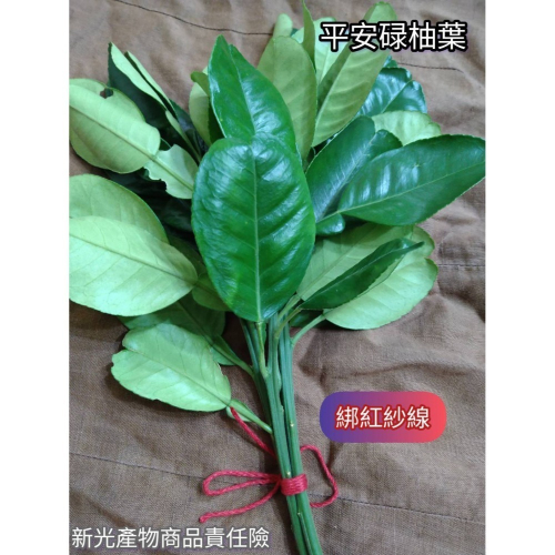 【柚樂木】平安碌柚葉 柚子葉 祿柚葉 入厝 祈福 喬遷 去晦氣 保平安 淨身 掃墓 除歲 避邪 收驚