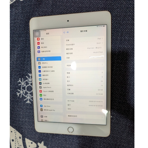 Ipad mini 5 64G wifi 二手