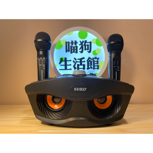 【台中現貨】SD306 雙人無線 藍芽麥克風 家庭KTV 卡拉OK 音響喇叭 藍牙喇叭 藍芽 藍牙音響 藍芽音響 露營