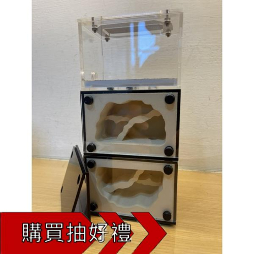 《E:巢》岩蛋SS 直立巢 蟻巢 石膏巢 養螞蟻 螞蟻飼料