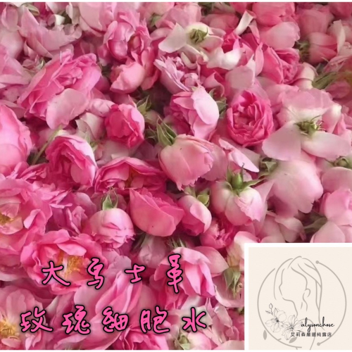 艾莉森 嚴選 招牌(鮮花萃) 大馬士革 玫瑰 細胞水 ~ 獨家 低溫萃取? 宛如在玫瑰園中綻放的香氣四溢