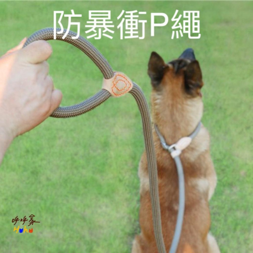 開幕多種優惠❤️台灣現貨24H出??寵物防暴衝P鍊 加粗P繩 狗狗牽引繩
