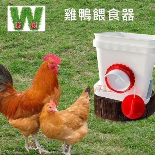 雞 鴨 雞鴨餵食器 下雨天不用擔心 飼料 淋濕 雞用品 w711鴻展