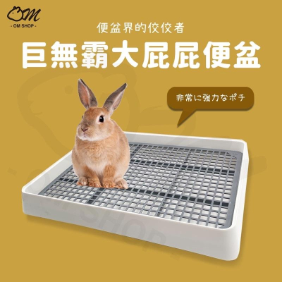 【便盆界的佼佼者】大屁股便盆 兔子便盆 廁所 天竺鼠 防漏尿 便盆 寵物尿盆 籠子 兔子用品 超大 塑膠 刺蝟 龍貓