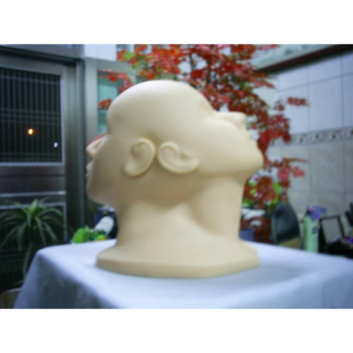 雙面 睜眼 閉眼 彩妝 睫毛 嫁接 練習 化粧 化妝 按摩 人頭 軟人頭 假人頭 假頭 軟頭 丙級 乙級 考試用 彩粧