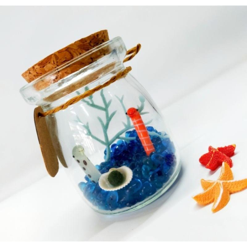 親子DIY 生態瓶 水草瓶 綠藻球 辦公桌裝飾 辦公室 療癒小物 綠球藻 團體 生日 交換禮物 畢業禮物 聖誕禮物