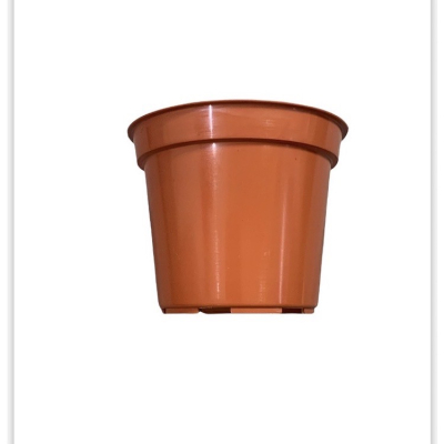 3寸盆【園藝資材】1組10個 多肉植物 仙人掌 草花盆 荷蘭盆 塑膠紅盆 紅盆 小品盆 口徑:8.8 高:7(公分)