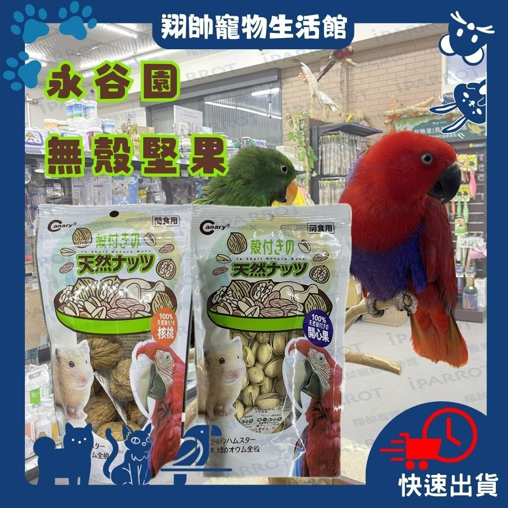 實體門市｜Canary｜永谷園無調味帶殼堅果｜開心果｜帶殼核桃｜鸚鵡零食｜倉鼠零食｜鸚鵡飼料｜鳥零食｜翔帥寵物生活館