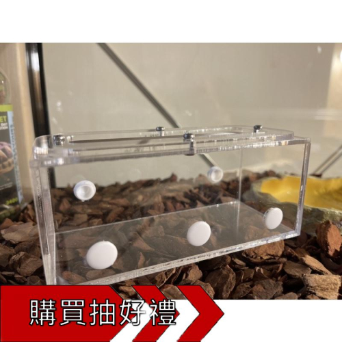 Mazu簡易螞蟻餵食區、活動區（單邊最多可接三根試管、可加購試管、試管轉接頭、外接水塔）養螞蟻/螞蟻巢/螞蟻飼料