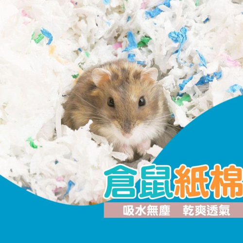 ?萌寵必備? 倉鼠紙棉【60422】倉鼠紙墊 棉紙 無塵棉紙 小動物 老鼠 倉鼠 木屑 鮮花紙棉 兔子刺蝟 金