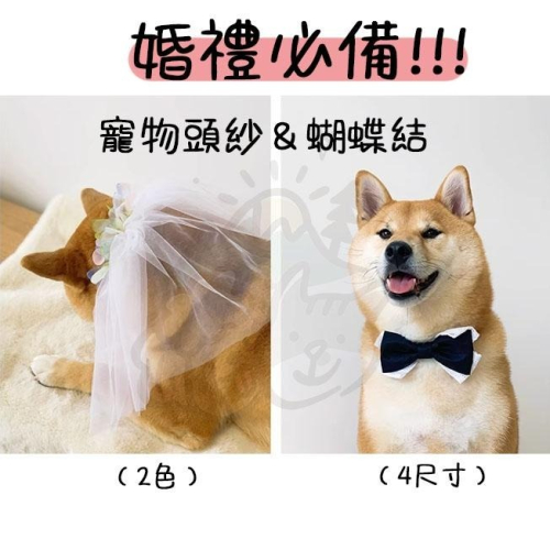 【汪喵森活】 寵物婚禮配件 寵物頭紗 蝴蝶結 結婚頭飾 狗禮服 柯基 柴犬 貴賓 雪納瑞 西高地 哈士奇 婚禮 結婚