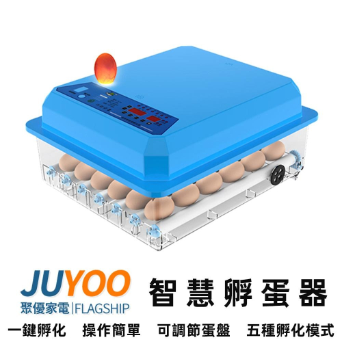現貨一日達 36枚孵蛋器110V 孵化機 雙電源不怕停電 全自動家用型小雞孵化器保溫箱 一年保固 當天出貨
