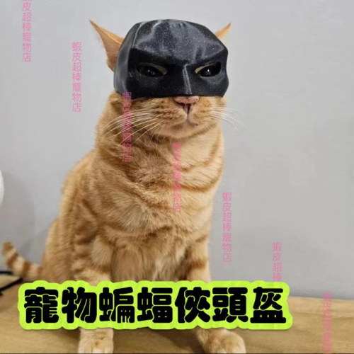 【台灣出貨】貓咪面具 寵物面具 蝙蝠俠面具 3d打印 蝙蝠面具 寵物面具 頭盔玩具 頭飾 小貓面具 寵物搞怪 蝙蝠貓面具