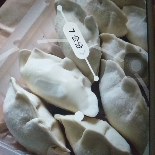 生原味韭菜煎餃