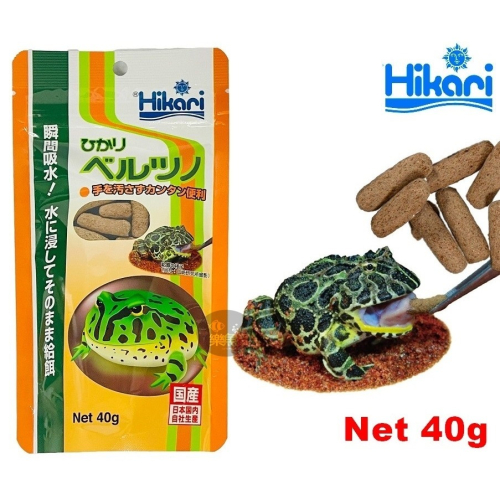 日本 Hikari 高夠力 角蛙飼料 40g 降低臭味 適口性佳 南美 綠角蛙 黃金角蛙 鐘角蛙
