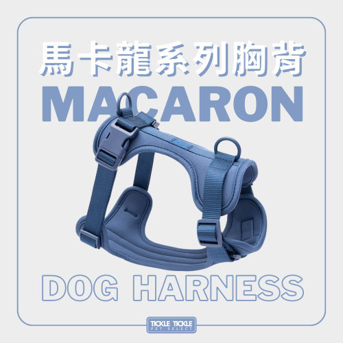 【馬卡龍胸背】胸背 散步 馬卡龍 多巴胺色系 防撥水 防水材質 Waterproo