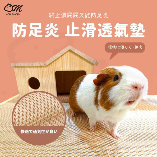 【天竺鼠兔兔很需要】天竺鼠透氣墊 兔子防滑墊 天竺鼠地墊 尿布墊 兔子地墊 尿布疹 透氣 網布 防足底炎 夏天 不沾尿