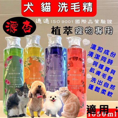 ?妤珈寵物店? 源杏 寵物專用 洗毛精 超大容量 全效系列《犬貓專用 防蚤蝨 煥白 煥膚 全效》1050ml/瓶