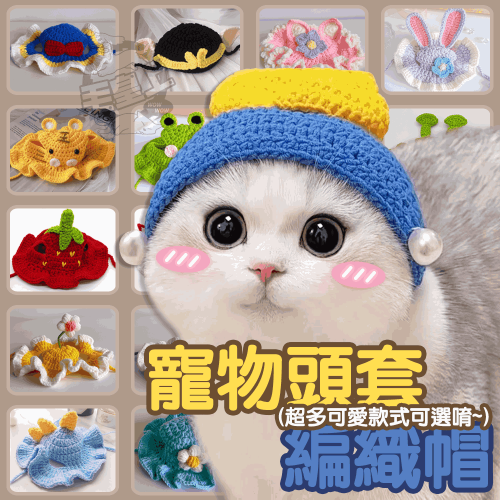 【台灣出貨】❤寵物用品 寵物頭套編織帽 寵物頭套 寵物帽子 貓咪帽子 貓狗頭套 編織頭套 造型頭套【WOWWOW】