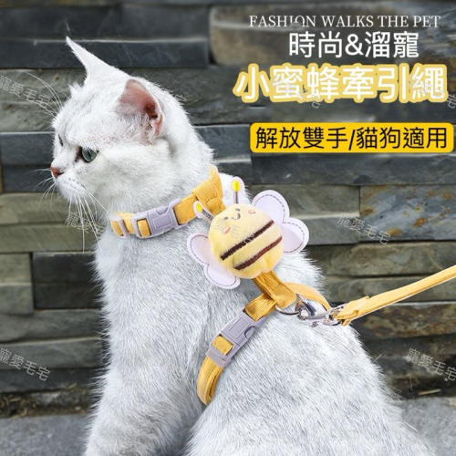 寵愛毛宅 寵物牽引繩 工字型胸圍 雙重防掙脫 寵物胸背 貓咪胸背 中小型犬胸背 寵物牽引繩 可調節