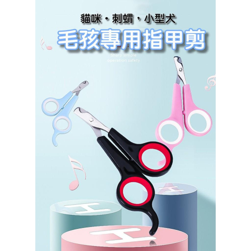 【貓咪用品】貓這裡 臺灣現貨 貓咪指甲剪 貓用指甲鉗貓指甲刀寵物修甲器美容