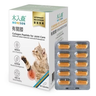 【木入森】貓咪有關膝 60顆｜貓咪關節保健 全方位關節保健配方 關節靈活 好彈力