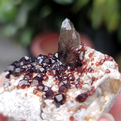 ???????????❀?? 福建雲霄石榴石煙晶 L702 紅石榴石 石榴石原礦 煙晶茶晶墨晶