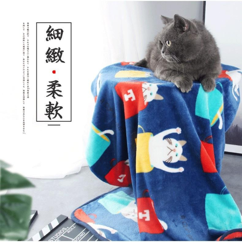 【貓咪用品】貓這裡 現貨 珊瑚絨寵物毛毯 寵物毯子 貓窩墊 毛毯 珊瑚絨 寵物保暖毯 冷氣毯