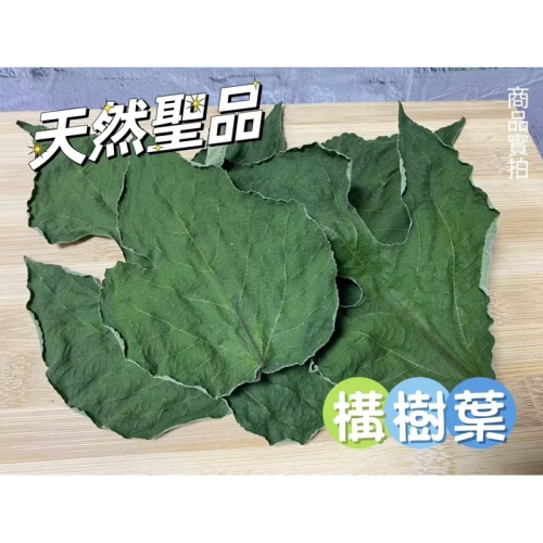 乾燥構樹葉 營養保健草 鹿兒樹葉 無農藥 在地小農種植 兔子 陸龜 天竺鼠 寄居蟹
