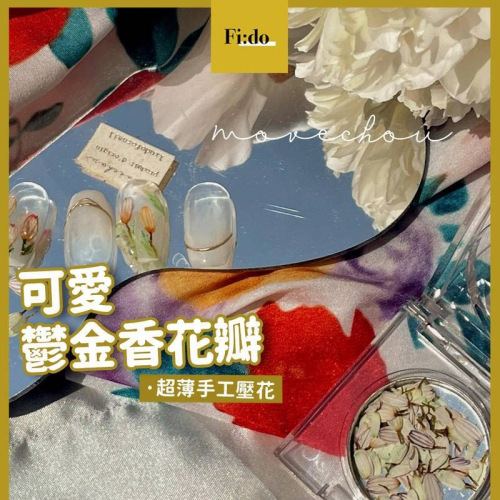 現貨供應｜ 日韓 美甲 迷你鬱金香花瓣 混色 油畫感 春天 超薄乾燥花 天然壓花 飾品 素材 小花 花瓣 手工素材
