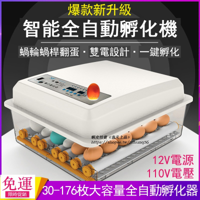 現貨免運 110V孵化機小型家用孵蛋器（帶溫度控制）智能雞鴨鵝鴿子孵化器 全自動小雞雞蛋孵化機 孵蛋器 孵化箱c413