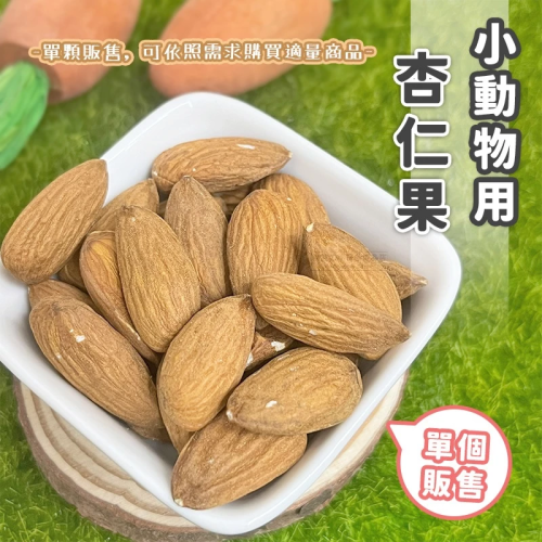 【現貨】小動物用杏仁果 單顆販售 小寵零食 倉鼠零食 鼠兔零食 鼠零食 倉鼠磨牙點心 天竺鼠磨牙零食 小動物點心