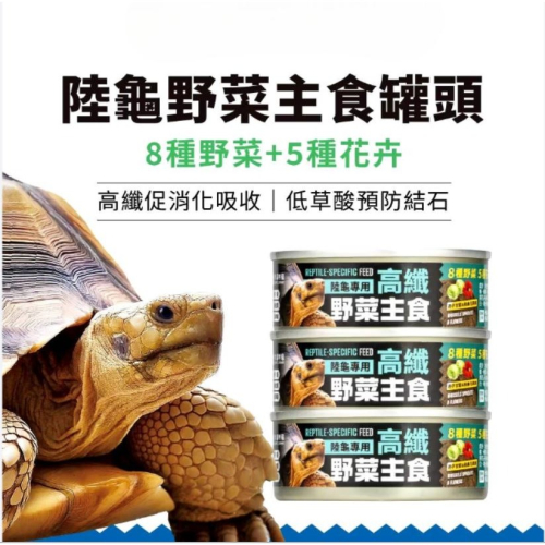 【陸龜小學堂】陸龜高纖野菜泥罐頭 單罐 80g 陸龜飼料 草食型飼料 野菜泥罐頭