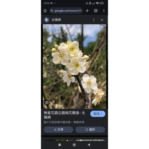 貓咪保養品