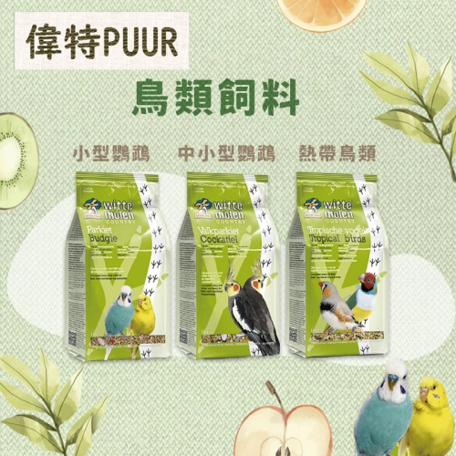【現貨】荷蘭 PUUR 偉特 鸚鵡飼料 熱帶鳥類飼料 小型鸚鵡飼料 中小型鸚鵡飼料 鳥用飼料 鳥飼料 鳥類飼料