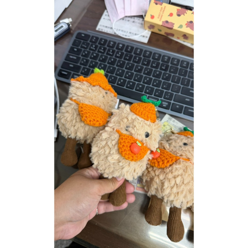 現貨【濟州島帶回】花生娃娃 18cm左右