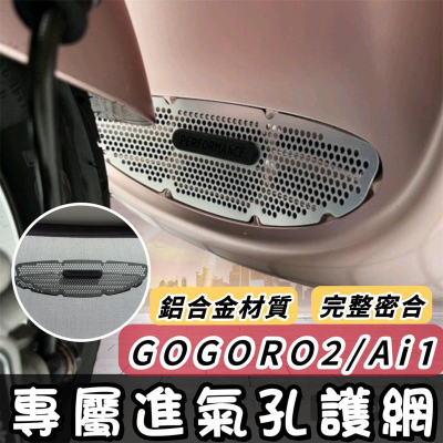 【現貨?免運】gogoro進氣口護網 gogoro2 進氣孔過濾網 濾網 進氣孔過濾網 水箱護網 進氣口護網進氣孔濾網