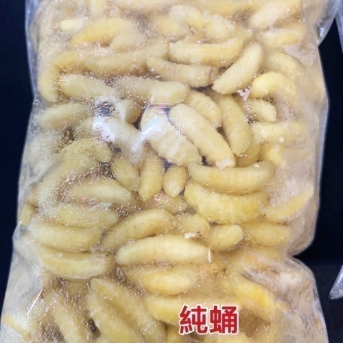 咚刺咚刺?の好吃好吃食堂 刺蝟鮮食 蜜袋鼯鮮食 冷凍鮮食 虎頭蜂蛹 蜂蟲 雄蜂蛹 黑肚 營養 增肥 增胖