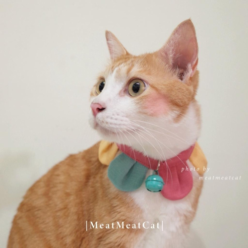 Cat Dress 貓手作 配色款_花開富貴 貓 寵物 布項圈 花朵項圈 小花朵朵 魔鬼氈開口