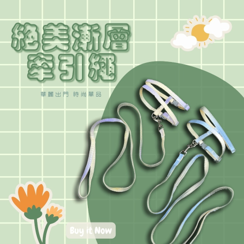 【YeeGo 億購寵物】通用漸變單牽引繩套裝 貓咪牽繩 貓牽繩 寵物胸背帶 貓咪胸背帶 胸背帶