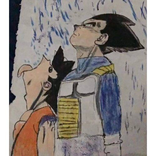 csm楊 內退