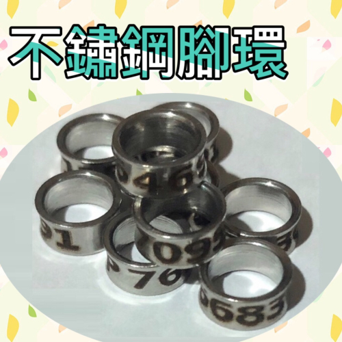鸚鵡腳環 不鏽鋼腳環 柯爾鴨 鳥腳環 鳥環 封閉式腳環 和尚 金太陽 小太陽 固定環 死環 彩鋁 腳環 鸚鵡 凱克 鳥