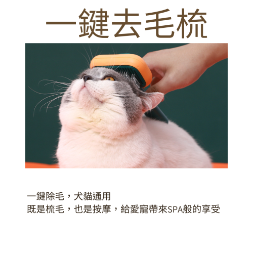【YeeGo 億購寵物】四方大梳面深層除毛針梳 寵物梳毛 寵物梳 貓梳子 貓咪梳毛 梳毛器 寵物針梳