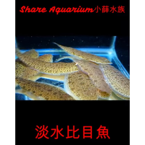 500下標區