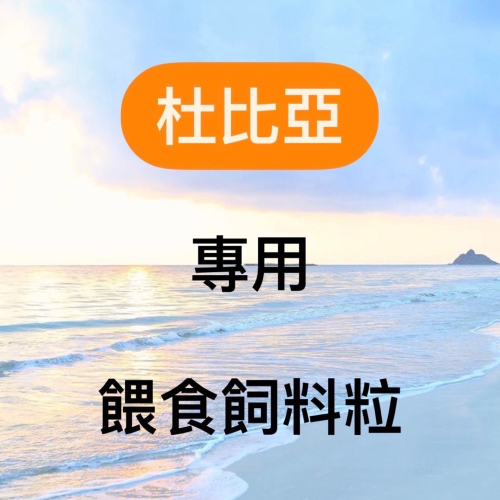 【蟑嘻嘻】杜比亞餵食飼料粒/麥麩/麥片/水蒟蒻
