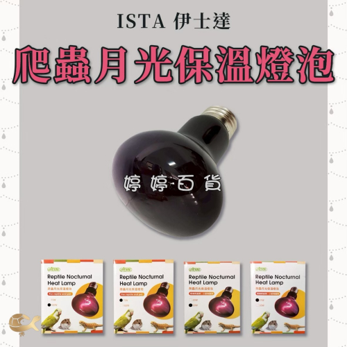 ISTA 伊士達 爬蟲月光保溫燈泡 UVA加熱燈泡 夜間燈泡 月光燈泡 取暖加溫 兩棲爬蟲 蜥蜴 婷婷水族 兩棲爬蟲