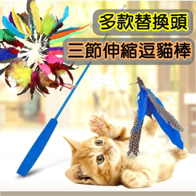 【香蕉生活館】?現貨 三節伸縮逗貓棒 逗貓棒 貓玩具 貓 寵物用品 貓咪玩具 逗貓玩具 逗貓 貓草玩具 貓草 木天蓼