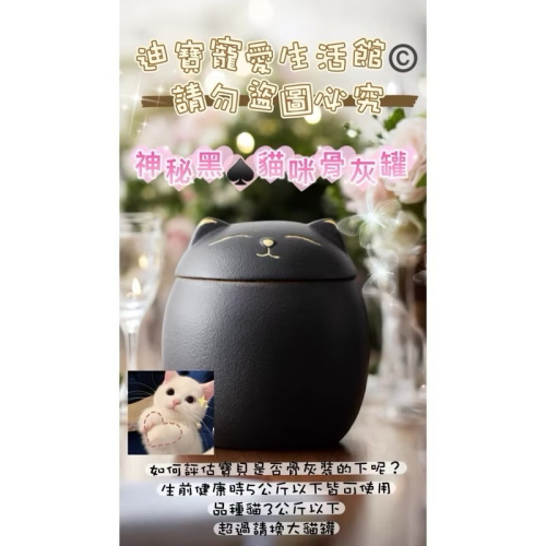 【 迪寶寵愛生活館】小寵物貓咪造型紀念骨灰罐