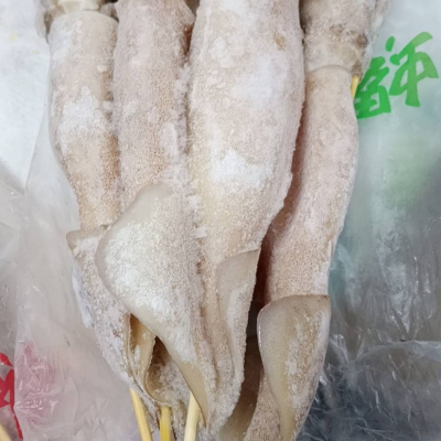 ??超鮮冷凍魷魚??